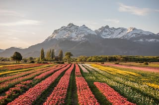 El paisaje más bello de la Patagonia, que dura apenas un mes