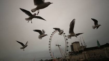 Una capa amarillenta fue cubriendo el cielo hasta hacerse casi de noche en pleno día