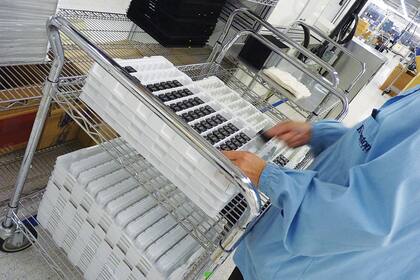 Una industria millonaria. La planta donde se produucen memorias DRAM y dispositivos USB