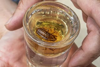 Un bar de Illinois crea un trago homenaje con un ingrediente inesperado y desata una gran controversia