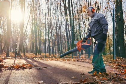 Una iniciativa podría prohibir el uso de sopladores de gasolina en Filadelfia e imponer multas a los residentes