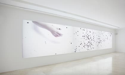 Una instalación de Silvia Rivas podrá verse en Meridians