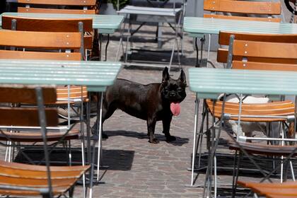 Una intensa ola de calor azota gran parte de Europa