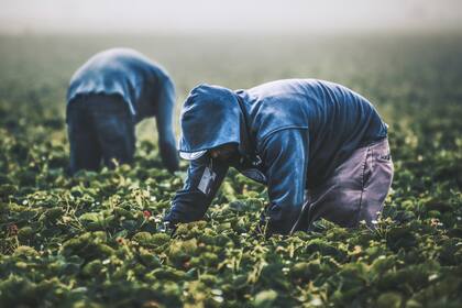 Una investigación determinó que a miles de trabajadores no se les pagó conforme a las leyes de Estados Unidos