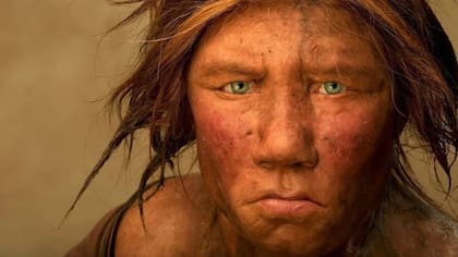 Una investigación reveló una similitud genética de la altura de la nariz actual y los neandertales