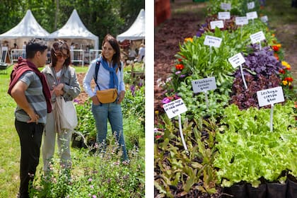 .Una jornada a pura naturaleza en Jardín Fest.
