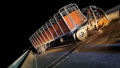 Una joven descendió de un auto a ver el accidente de un camión con ganado y un toro la embistió: fue internada.