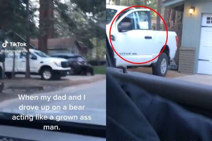 Una joven logró captar el momento en que el oso subió a la camioneta de uno de sus vecinos