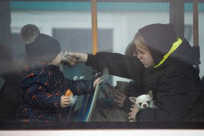 Una joven que sostiene un perro pequeño, le da un sorbo de té a un niño pequeño después de huir del conflicto de la vecina Ucrania, en un autobús en la frontera rumano-ucraniana, en Siret, Rumania