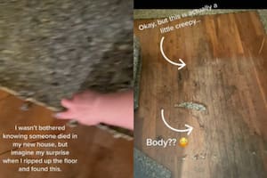 Una joven se disponía a sacar la alfombra de una habitación cuando encontró que un tétrico incidente había ocurrido en su nuevo hogar