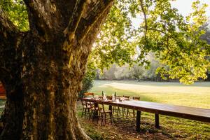Una larga mesa bajo un gigantesco plátano. El sosiego bien entendido en La Bandada.