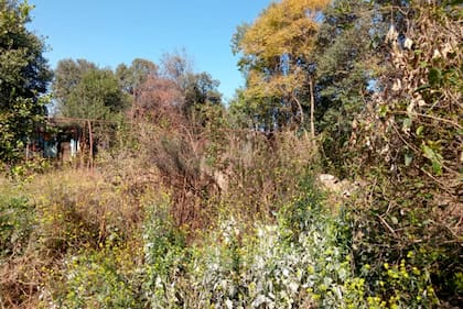 Una maestra falta hace 2 años y 7 meses a la escuela N° 4530 "Teniente Benjamín Matienzo" de la localidad de Las Blancas, en Cerrillos