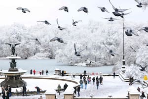 Nueva York: las impactantes imágenes del Central Park bajo la nieve