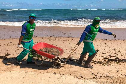 Los trabajadores municipales de la ciudad de Salvador retiran restos de petróleo encontrados en la arena de la playa de Pituba.