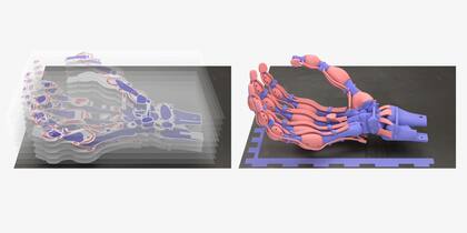 Una mano robot con tendones y ligamentos de plástico, impresa con una nueva técnica que permite mezclar materiales de diferente dureza y elasticidad, y promete revolucionar la creación de robots y de prótesis