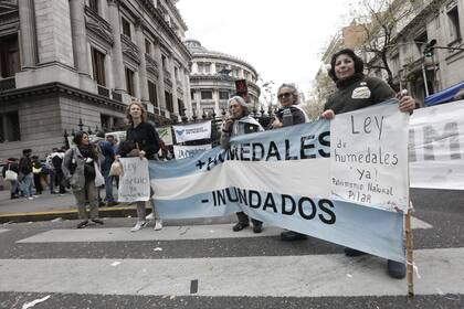 Una marcha al Congreso en reclamo de la Ley de humedales