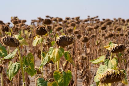 Una mayor tecnología tendría un impacto positivo