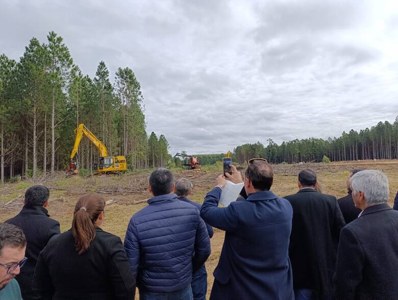 Corrientes invierte US$ 100 millones y se posiciona como potencia forestoindustrial del Cono Sur