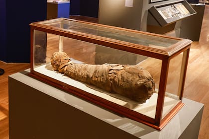 Una momia egipcia en la muestra "Ciencia y fantasía. Egiptología y egiptofilia en la Argentina", en el Museo de Bellas Artes