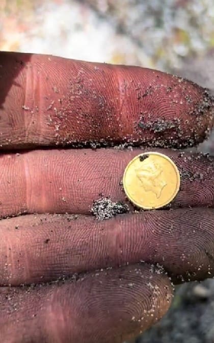 Una moneda de oro fue descubierta en Florida
