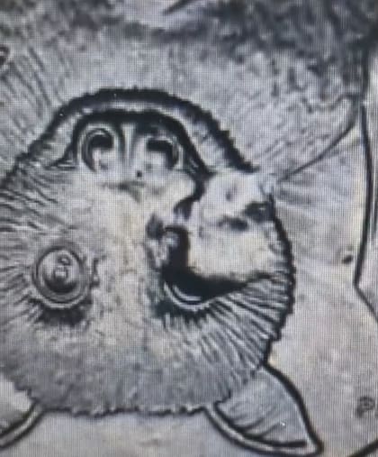 Una moneda del Parque Nacional de Samoa Americana fue acuñada con un error en el ojo de la imagen