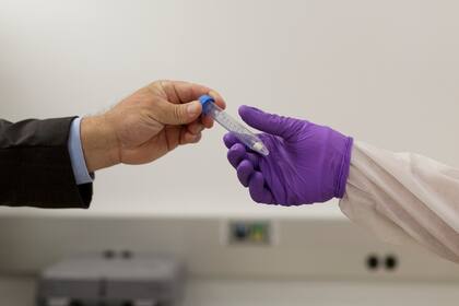 Una muestra de un pequeño pedazo de hueso para investigar su ADN