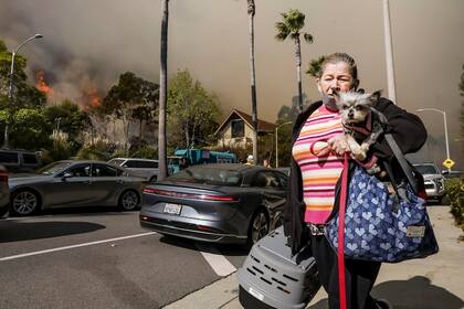 Una mujer abandona su barrio llevando consigo a sus mascotas. Karen Bass, la alcaldesa de Los Ángeles, pidió abandonar su casa a la población al noreste de Topanga Canyon, el bulevar que conecta la costa del Pacífico con el Valle de San Fernando, al norte