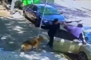 Una mujer golpeó salvajemente a un vecino que le reclamó que levantara la caca de su perro