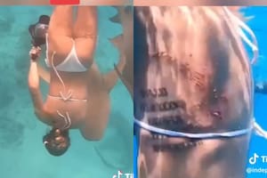 Buceaba en las islas Maldivas, fue atacada por un tiburón y quedó todo grabado