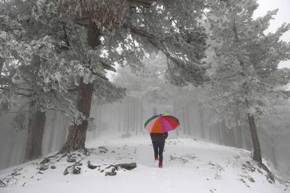 Una mujer camina en un bosque cubierto de nieve durante la ola de frío, en la isla mediterránea de Córcega