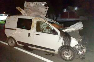 Una mujer chocó contra un caballo en la Ruta 40