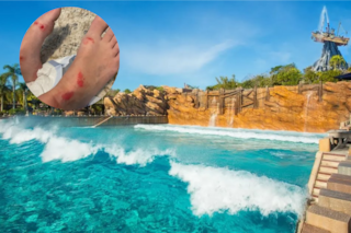 Es de Nueva York, viajó a Disney y se lesionó: ahora demanda por US$2 millones al parque