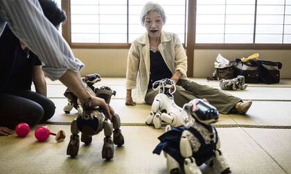 Una mujer japonesa juega con mascotas cibernéticas Aibo, en Tokio