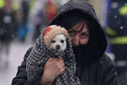 Una mujer lleva a su perro a través de la frontera de Ucrania a Siret, Rumania, en medio de la invasión rusa de Ucrania