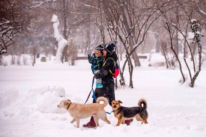 Una mujer pasea a sus perros junto a su hijo en medio del paisaje nevado