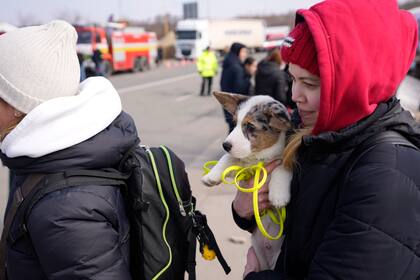 Una mujer que huye de Ucrania sostiene a su pequeño perro mientras cruza la frontera en Vysne Nemecke, Eslovaquia