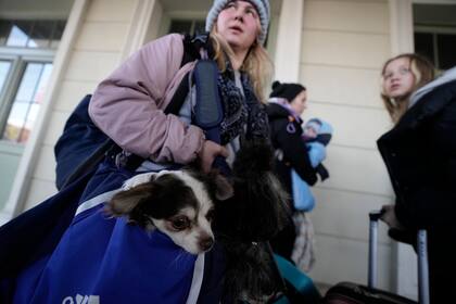 Una mujer que lleva a su perro en un bolso, llega a Przemysl, en el sureste de Polonia