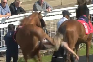 Una mujer recibió una patada brutal de un caballo durante una carrera