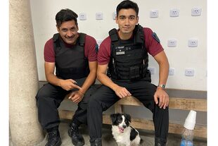 Los oficiales Santiago Quiroga y Darío Sandez sacaron al animal del interior de tacho