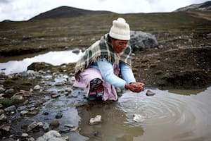 El desesperado pedido de los campesinos peruanos: “Ya no podemos solos contra el clima”