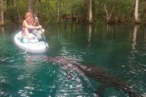 El momento que vivió una mujer cuando un cocodrilo la atacó en un estanque