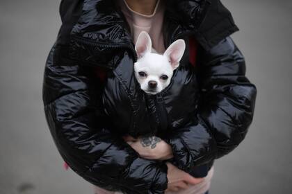 Una mujer sostiene a un perro dentro de su abrigo mientras espera un autobús frente a una estación de tren en Lviv