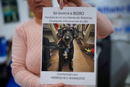 Una mujer sostiene un cartel con la frase "Se busca a Boro. Perdido en el accidente de Adamuz. Cualquier información es útil", para tratar de dar con Boro
(AP Foto/Manu Fernández)