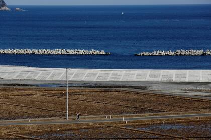 Una mujer transitando por una carretera cerca de un rompeolas en Ofunato