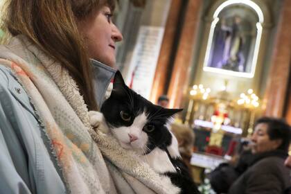 Una mujer y su gato escuchan la misa en la Parroquia San Antón en Madrid