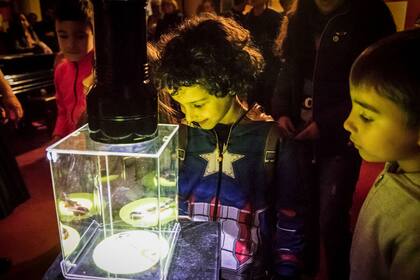 Una noche en el museo: una propuesta participativa para la familia en museos porteños