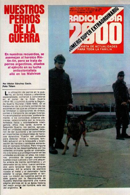 Una nota de la revista Radiolandia 2000 sobre los perros en Malvinas en abril de 1982- En la foto el soldado Angel Albarracin con el "Ranquel" y al fondo el soldado Carlos Silvas, el guía de la heróica "Xuavia" (colage por David Boskovic Favre)
