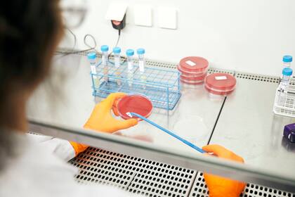 Los investigadores demostraron que estas células pueden actuar como marcadores del riesgo de enfermedades hematológicas