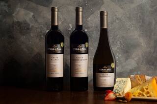 Terrazas de los Andes Grand: la evolución máxima de sus varietales