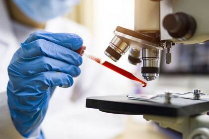 Una nueva perspectiva sobre el cáncer puede facilitar el surgimiento de terapias innovadoras